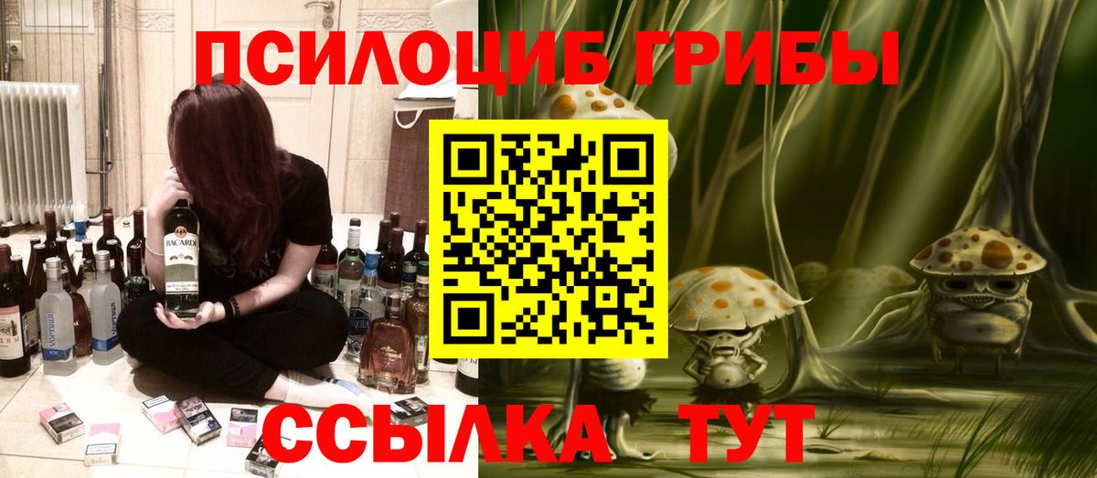 Псилоцибиновые грибы прущие грибы Рассказово
