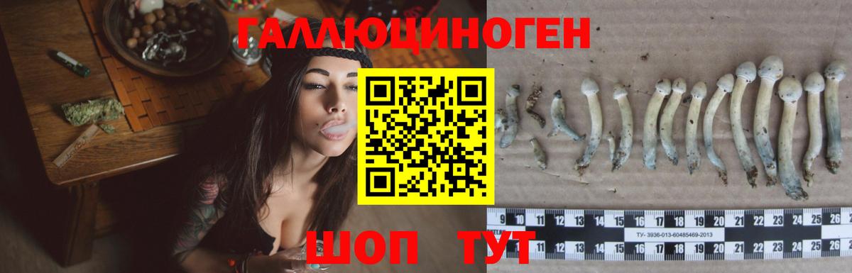 Псилоцибиновые грибы Psilocybine cubensis  хочу   Вход с VPN  Рассказово  Псилоцибиновые грибы Magic Shrooms 